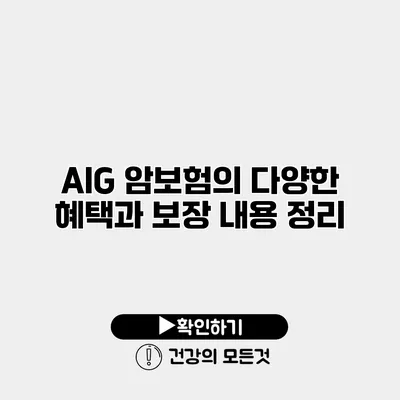 AIG 암보험의 다양한 혜택과 보장 내용 정리