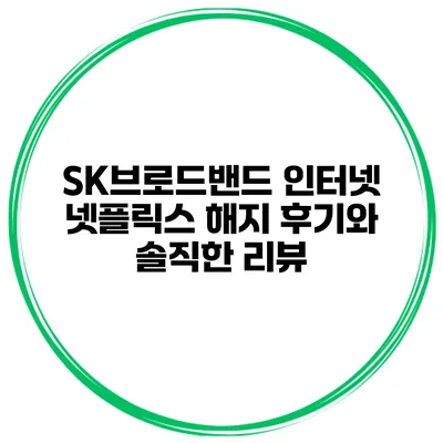 SK브로드밴드 인터넷 넷플릭스 해지 후기와 솔직한 리뷰