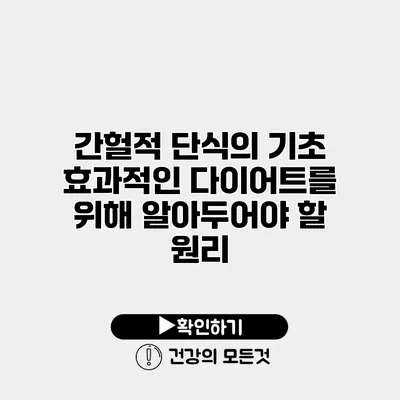 간헐적 단식의 기초 효과적인 다이어트를 위해 알아두어야 할 원리