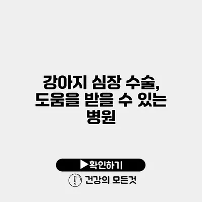강아지 심장 수술, 도움을 받을 수 있는 병원