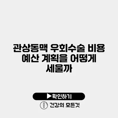 관상동맥 우회수술 비용 예산 계획을 어떻게 세울까?