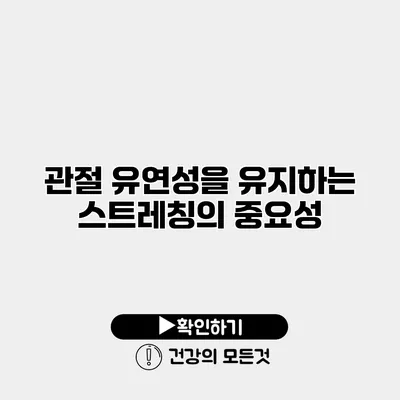 관절 유연성을 유지하는 스트레칭의 중요성