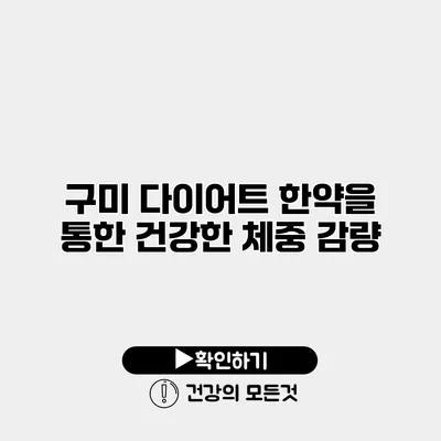 구미 다이어트 한약을 통한 건강한 체중 감량