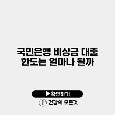 국민은행 비상금 대출 한도는 얼마나 될까?