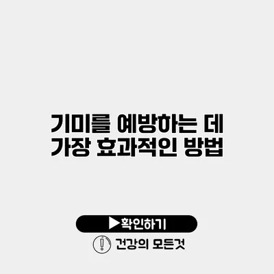 기미를 예방하는 데 가장 효과적인 방법