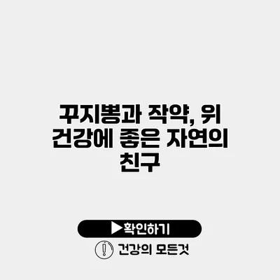 꾸지뽕과 작약, 위 건강에 좋은 자연의 친구
