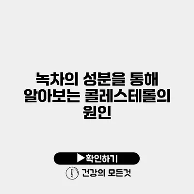 녹차의 성분을 통해 알아보는 콜레스테롤의 원인