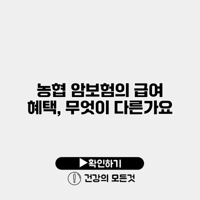 농협 암보험의 급여 혜택, 무엇이 다른가요?