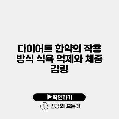 다이어트 한약의 작용 방식 식욕 억제와 체중 감량