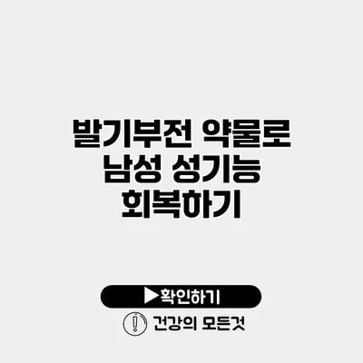 발기부전 약물로 남성 성기능 회복하기