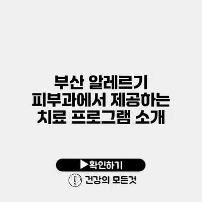 부산 알레르기 피부과에서 제공하는 치료 프로그램 소개