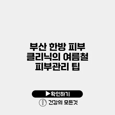 부산 한방 피부 클리닉의 여름철 피부관리 팁