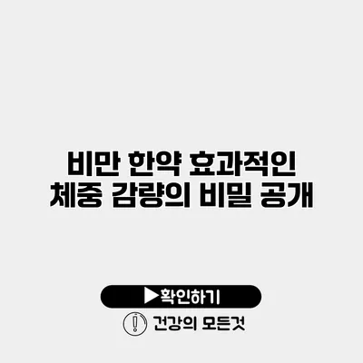 비만 한약 효과적인 체중 감량의 비밀 공개