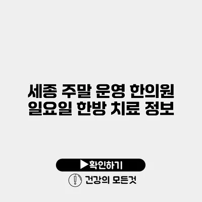 세종 주말 운영 한의원 일요일 한방 치료 정보