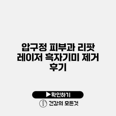 압구정 피부과 리팟 레이저 흑자기미 제거 후기