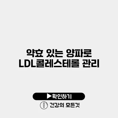 약효 있는 양파로 LDL콜레스테롤 관리