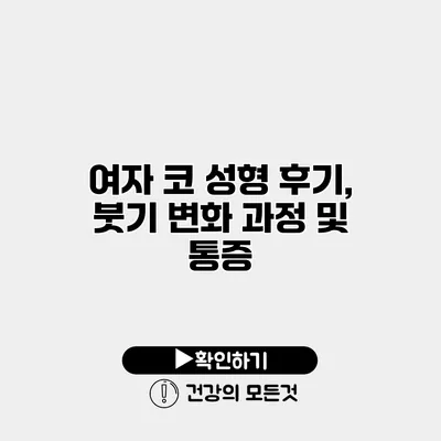 여자 코 성형 후기, 붓기 변화 과정 및 통증