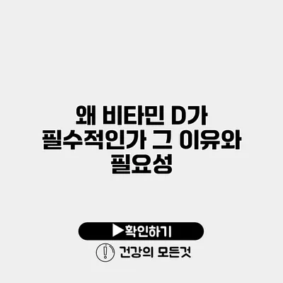 왜 비타민 D가 필수적인가? 그 이유와 필요성