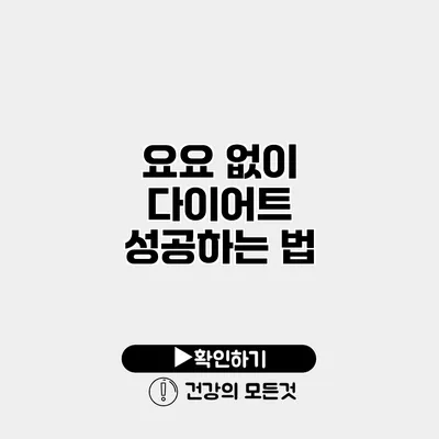 요요 없이 다이어트 성공하는 법