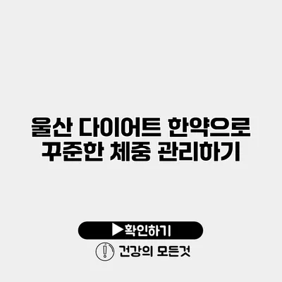 울산 다이어트 한약으로 꾸준한 체중 관리하기