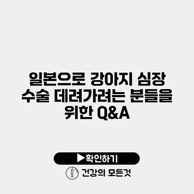 일본으로 강아지 심장 수술 데려가려는 분들을 위한 Q&A