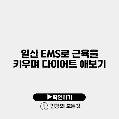 일산 EMS로 근육을 키우며 다이어트 해보기