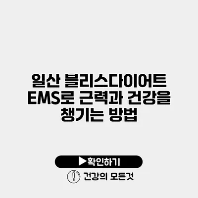 일산 블리스다이어트 EMS로 근력과 건강을 챙기는 방법