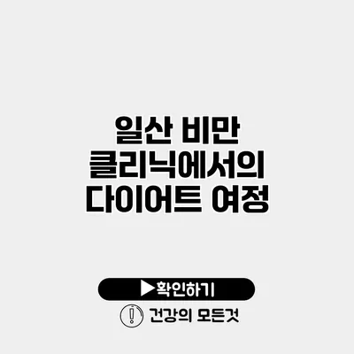 일산 비만 클리닉에서의 다이어트 여정