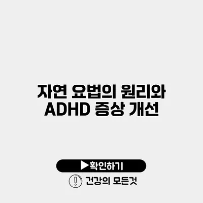 자연 요법의 원리와 ADHD 증상 개선