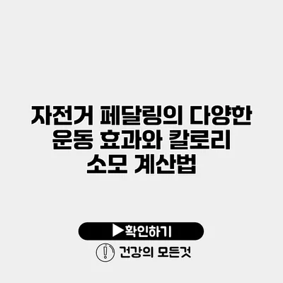 자전거 페달링의 다양한 운동 효과와 칼로리 소모 계산법