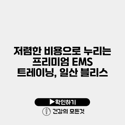 저렴한 비용으로 누리는 프리미엄 EMS 트레이닝, 일산 블리스