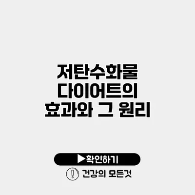 저탄수화물 다이어트의 효과와 그 원리