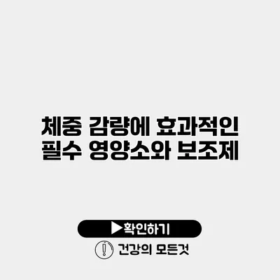 체중 감량에 효과적인 필수 영양소와 보조제