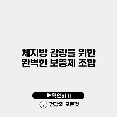 체지방 감량을 위한 완벽한 보충제 조합