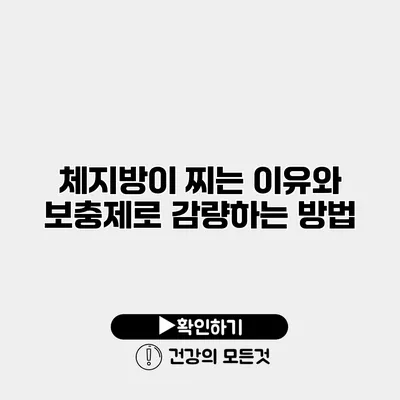 체지방이 찌는 이유와 보충제로 감량하는 방법