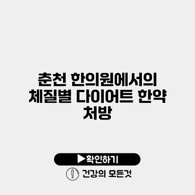 춘천 한의원에서의 체질별 다이어트 한약 처방