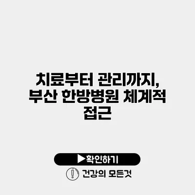 치료부터 관리까지, 부산 한방병원 체계적 접근