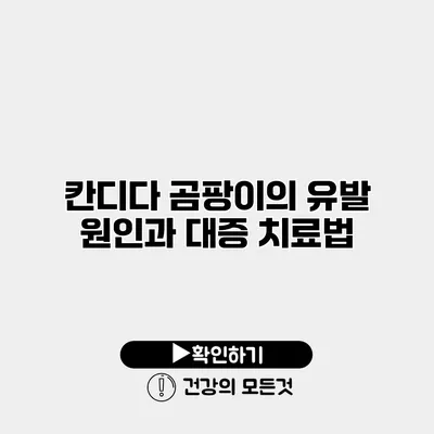 칸디다 곰팡이의 유발 원인과 대증 치료법