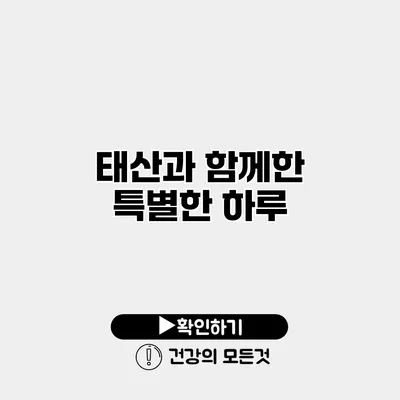 태산과 함께한 특별한 하루