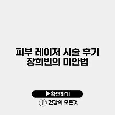 피부 레이저 시술 후기 장희빈의 미안법