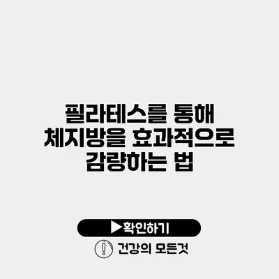 필라테스를 통해 체지방을 효과적으로 감량하는 법