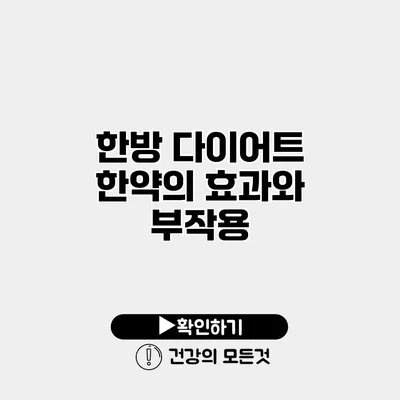 한방 다이어트 한약의 효과와 부작용