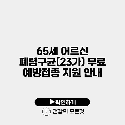 65세 어르신 폐렴구균(23가) 무료 예방접종 지원 안내