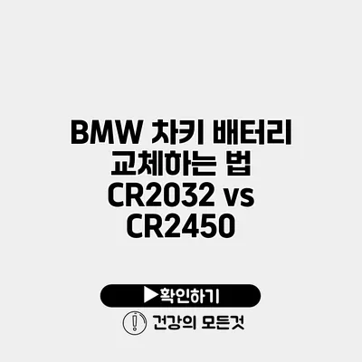 BMW 차키 배터리 교체하는 법 CR2032 vs CR2450