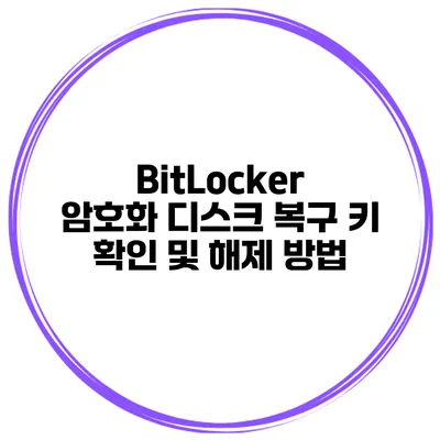 BitLocker 암호화 디스크 복구 키 확인 및 해제 방법