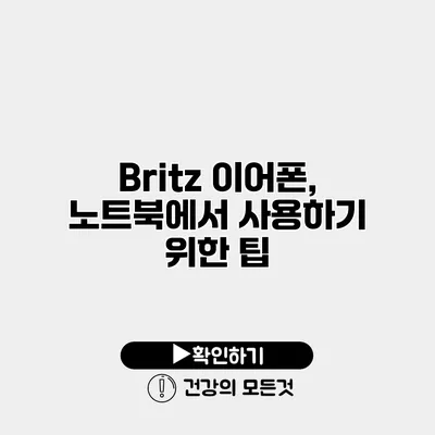 Britz 이어폰, 노트북에서 사용하기 위한 팁