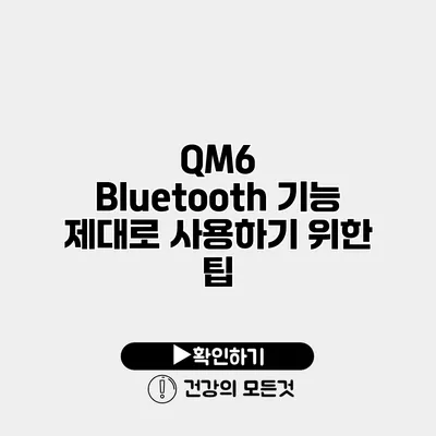 QM6 Bluetooth 기능 제대로 사용하기 위한 팁