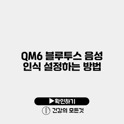QM6 블루투스 음성 인식 설정하는 방법
