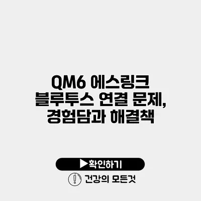QM6 에스링크 블루투스 연결 문제, 경험담과 해결책