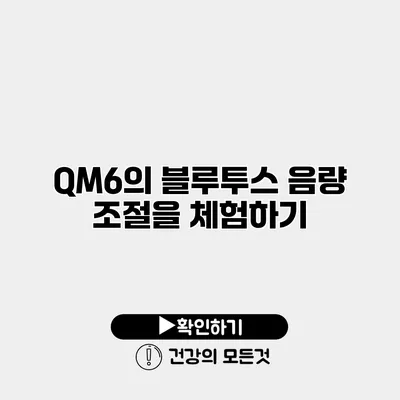 QM6의 블루투스 음량 조절을 체험하기